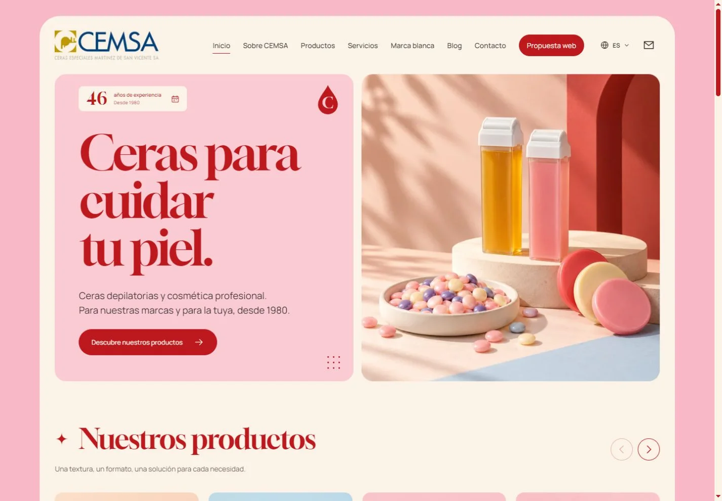 Página inicial de CEMSA no computador